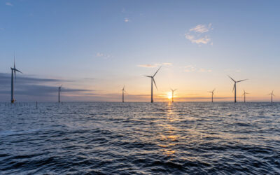 De-Risking Offshore Wind Projects: Layout Optimisation and Wake Modelling